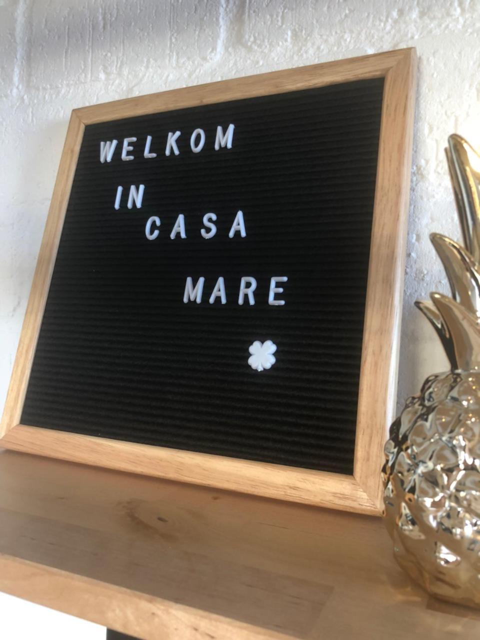Apartament Casamare Egmond aan Zee Zewnętrze zdjęcie